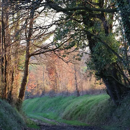 Domaine La Bellevue - Le Petit Nid Charme & Nature *